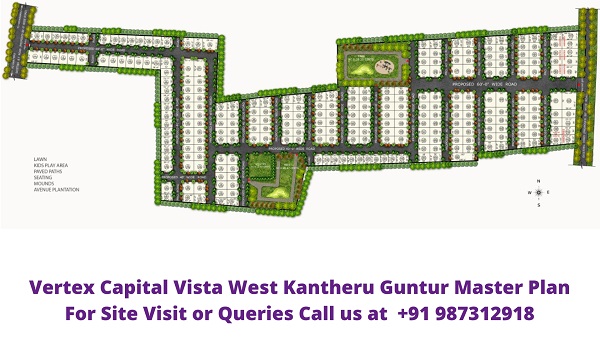 Vertex Capital Vista West Kantheru Guntur Master Plan