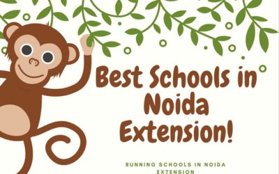 Best Schools in noida extension with details
