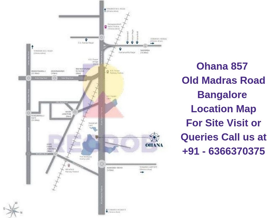 Ohana 857 Old Madras Road Bangalore Location Map Regrob