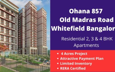 ohana 857 apartments