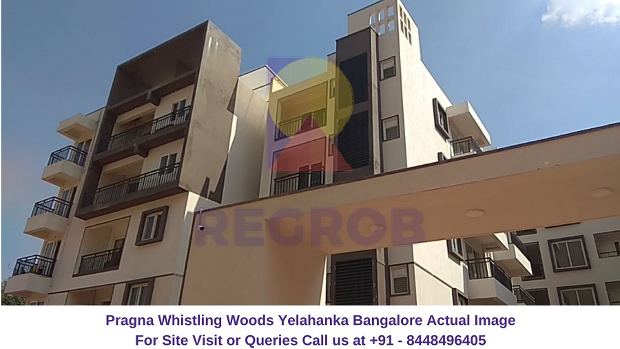 Pragna Whistling Woods Yelahanka Bangalore Actual Image (1) Regrob
