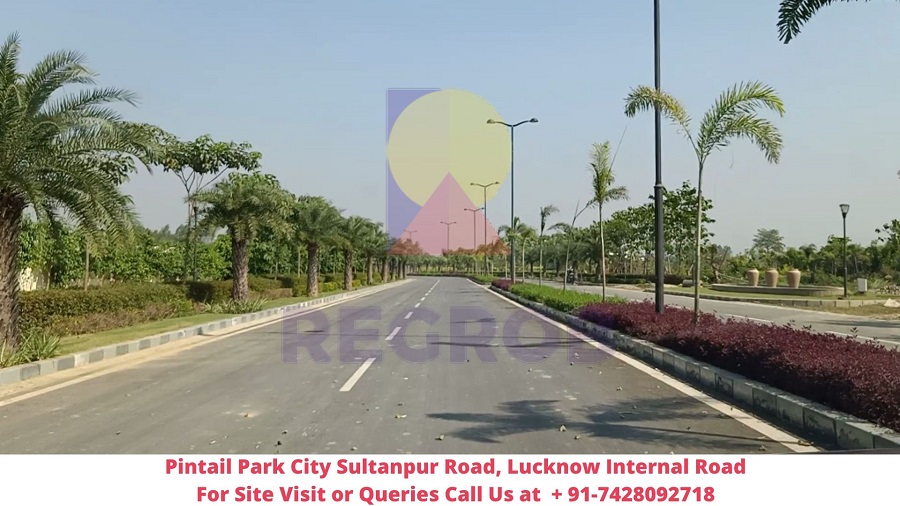 Pintail Park City Sultanpur Road, Lucknow internal Road