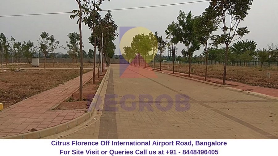 Citrus Florence Off International Airport Road, Bangalore Actual View of Site