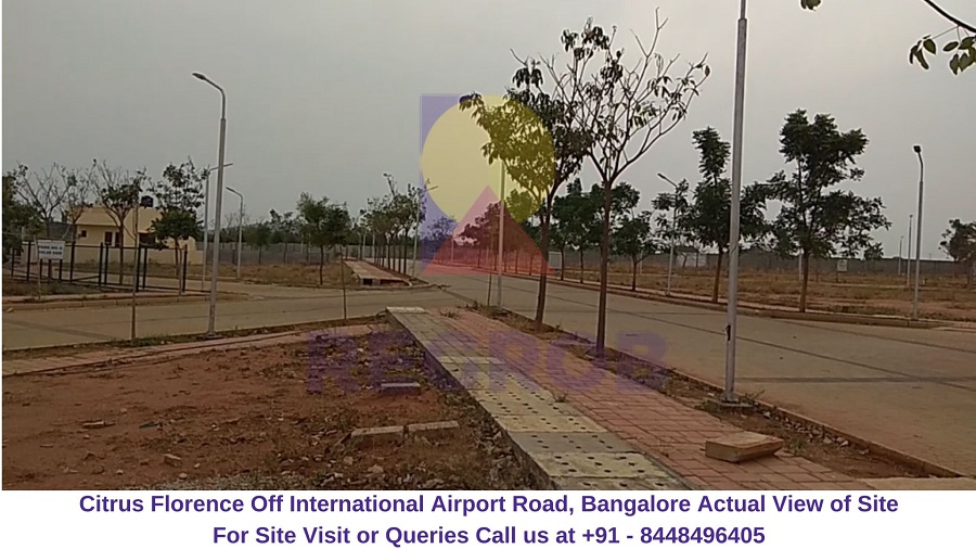 Citrus Florence Off International Airport Road, Bangalore Actual View of Site