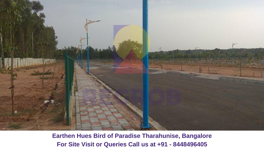 Earthen Hues Bird of Paradise Tharahunise, Bangalore Actual View of Project site
