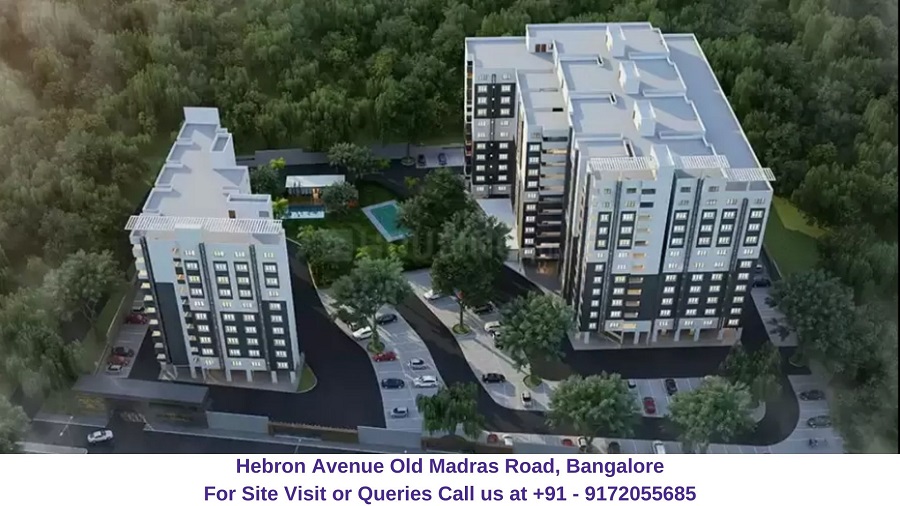 Hebron Avenue Old Madras Road, Bangalore Aerial View Regrob