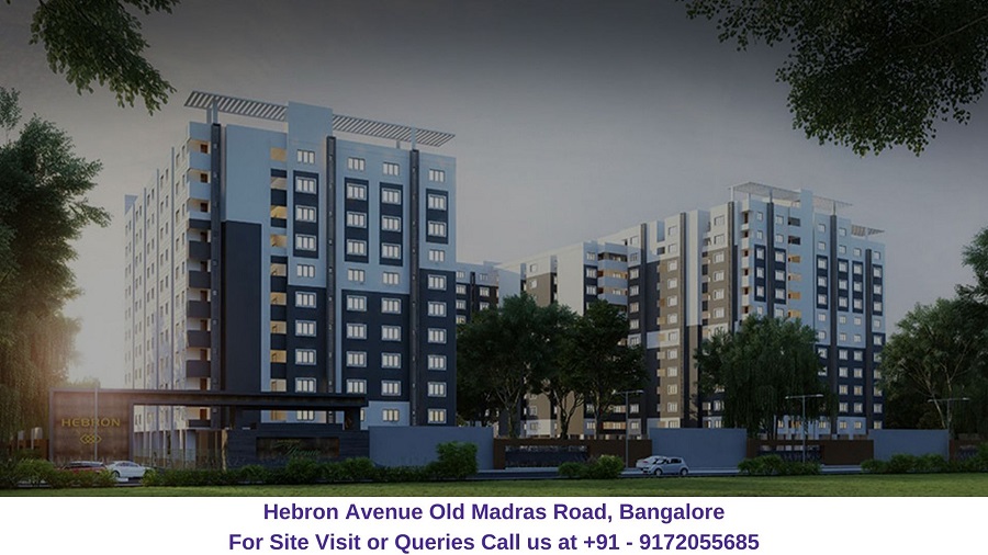 Hebron Avenue Old Madras Road, Bangalore Elevated
