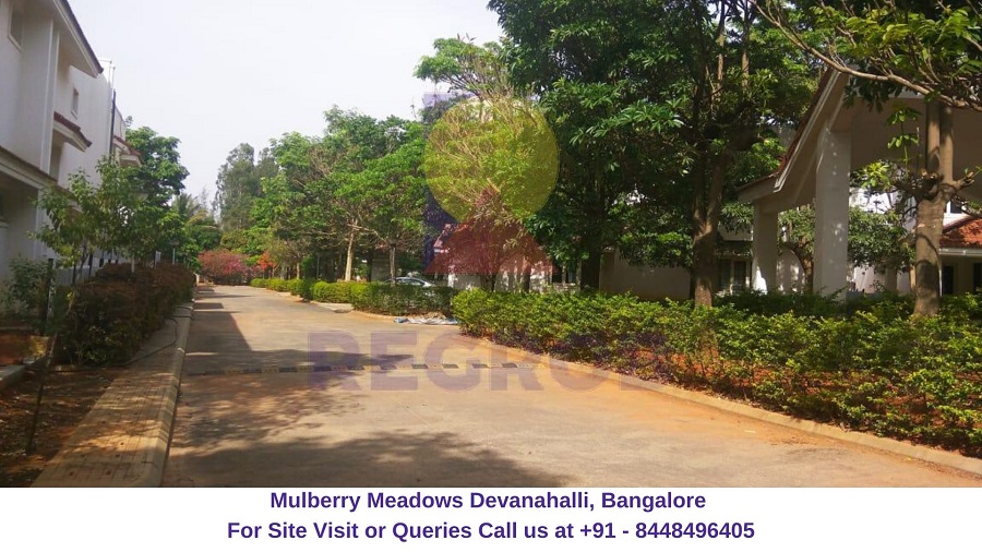 Mulberry Meadows Devanahalli, Bangalore View of Site