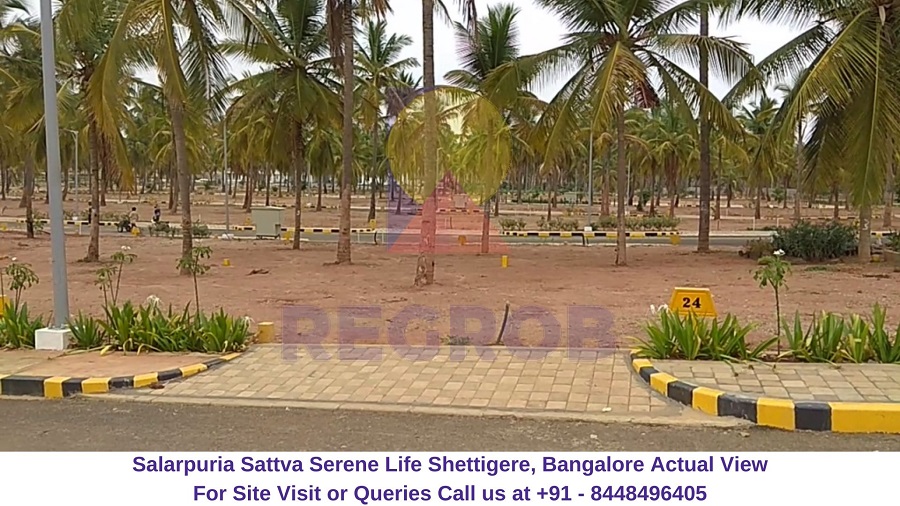 Salarpuria Sattva Serene Life Shettigere, Bangalore Actual View of Site