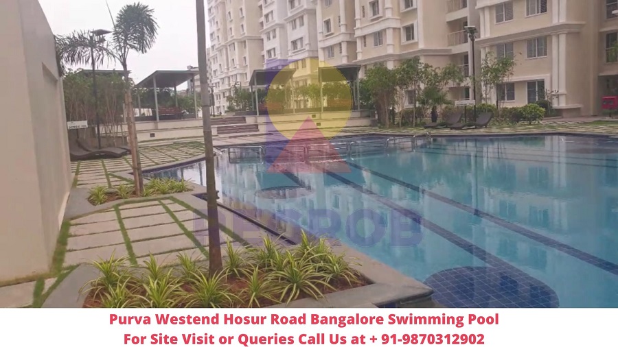 Purva Westend Hosur Road Bangalore Swimming Pool