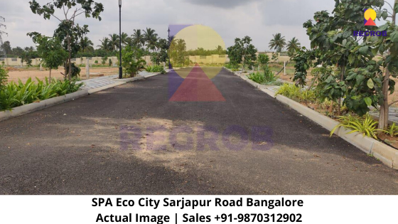 SPA Eco City  Sarjapur Road Bangalore