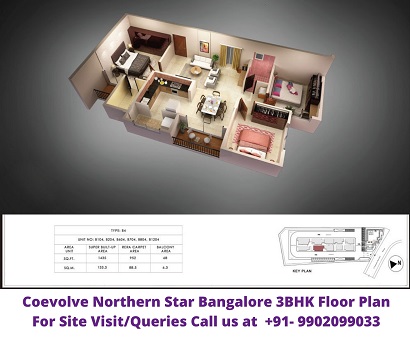 Coevolve Northern Star Bangalore