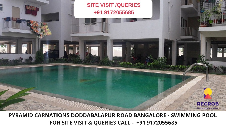 Pyramid Carnations Doddabalapur Road Avalahalli, Bangalore Swimming Pool