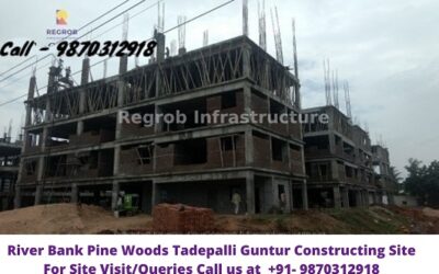 River Bank Pine Woods Tadepalli Vijayawada Constructing Site