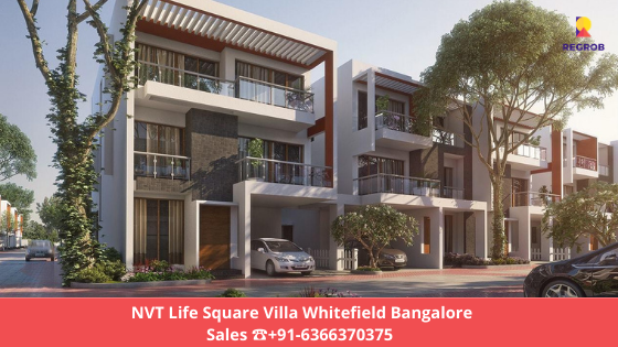 whitefield bangalore