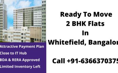 3 bhk apartment in whitefield