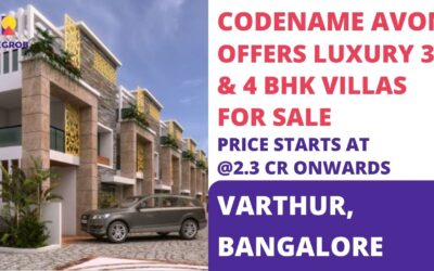 Codename Avon Varthur Bangalore