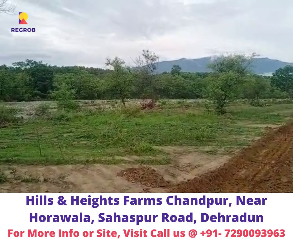 Hills and Heights Farms Plots View