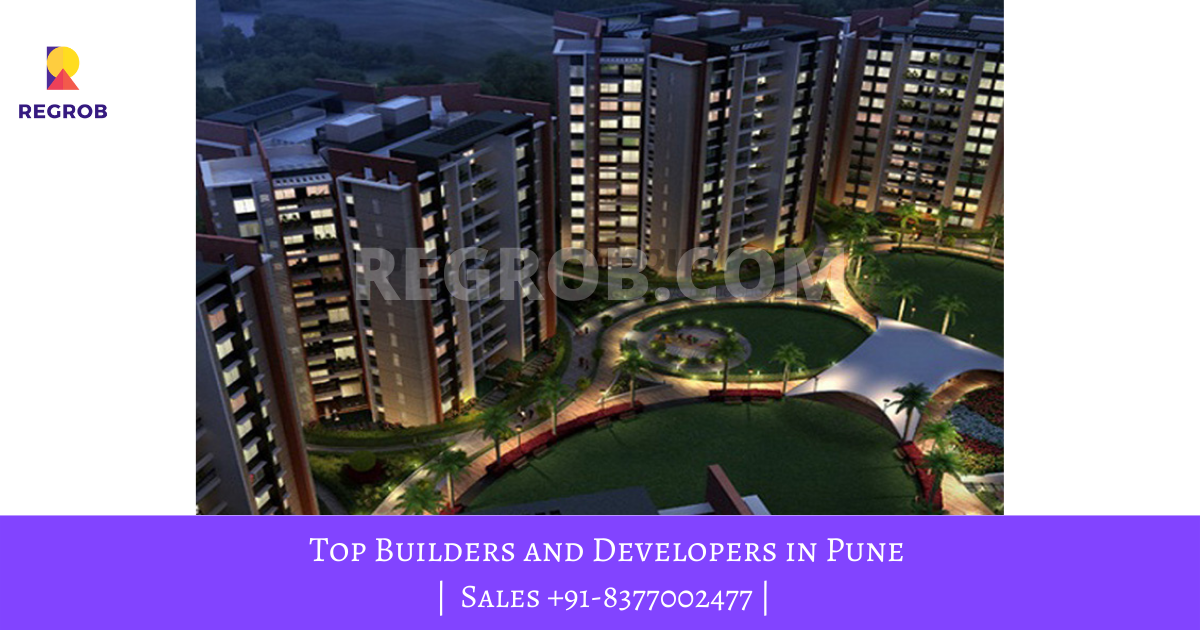 Pride Purple Properties Regrob