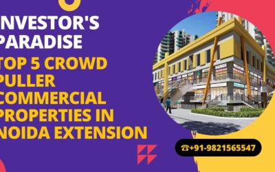Commercial Project in Noida Extension
