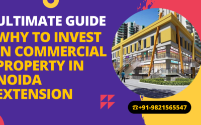 Ultimate Guide to Investing in Commercial Property in Noida Extension